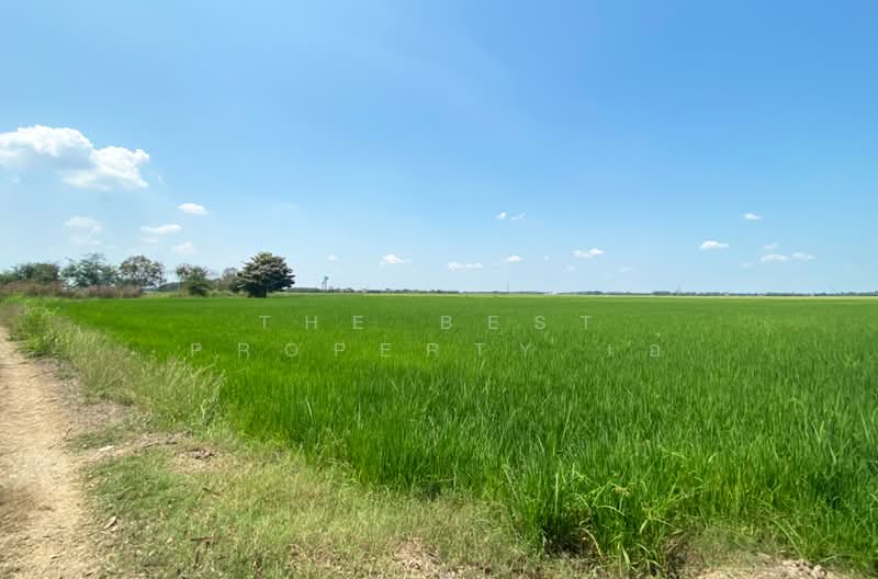 ขาย - ที่ดินบางมัญ สิงห์บุรี, สิงห์บุรี