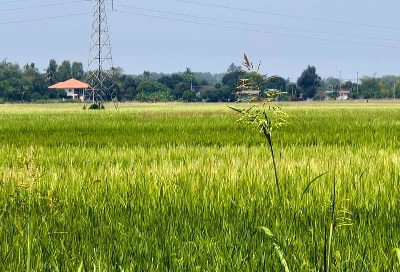 ขาย - ที่ดินบางมัญ สิงห์บุรี, สิงห์บุรี