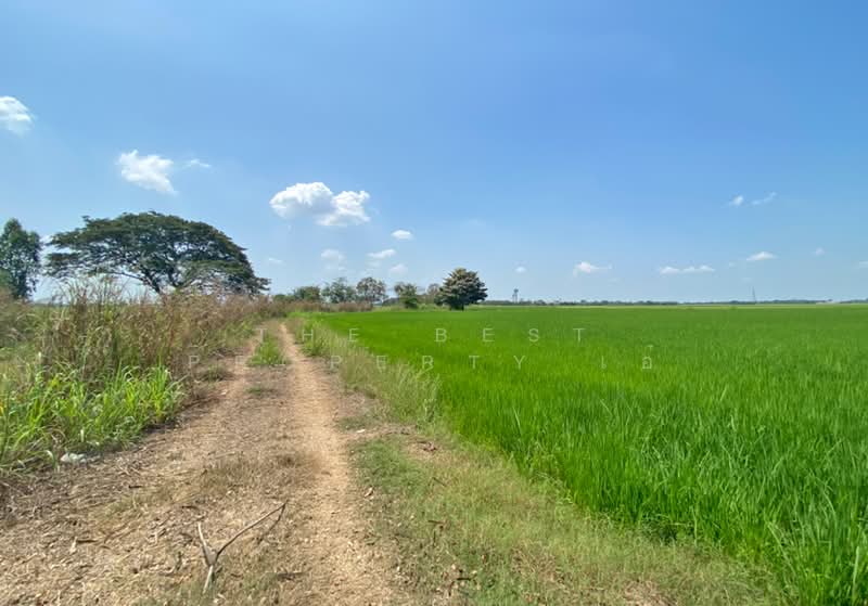 ขาย - ที่ดินบางมัญ สิงห์บุรี, สิงห์บุรี