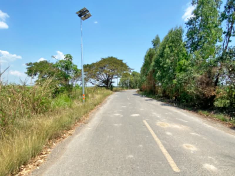 ขาย - ที่ดินบางมัญ สิงห์บุรี, สิงห์บุรี