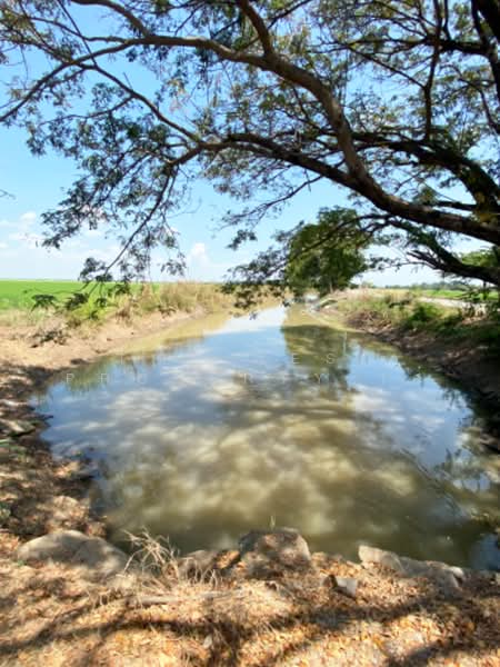 ที่ดินบางมัญ สิงห์บุรี, Sing Buri, Bang Man, Muang Sing Buri, Sing Buri, , 42,512 sqm, Land For Sale, by The Best Property เอ๋, 500222709 - DDproperty.com