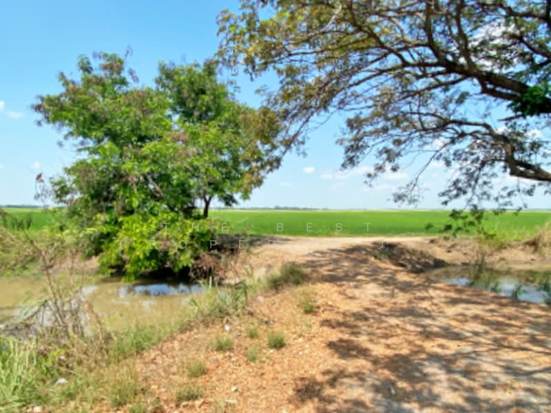 ขาย - ที่ดินบางมัญ สิงห์บุรี, สิงห์บุรี