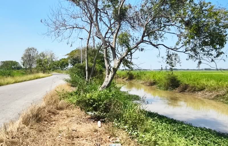 ขาย - ที่ดินบางมัญ สิงห์บุรี, สิงห์บุรี