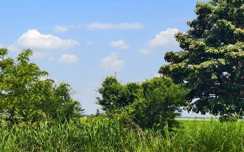 ที่ดินบางมัญ สิงห์บุรี, Sing Buri, Bang Man, Muang Sing Buri, Sing Buri, , 42,512 sqm, Land For Sale, by The Best Property เอ๋, 500222709 - DDproperty.com