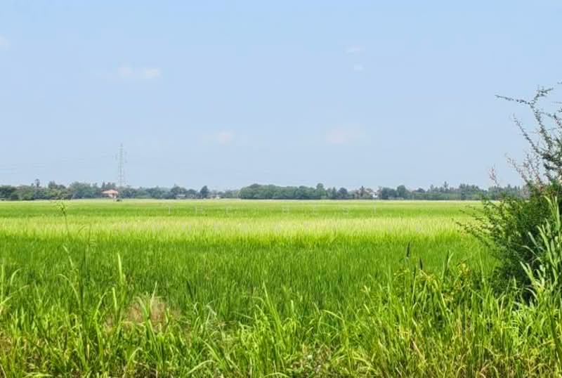 ที่ดินบางมัญ สิงห์บุรี, Sing Buri, Bang Man, Muang Sing Buri, Sing Buri, , 42,512 sqm, Land For Sale, by The Best Property เอ๋, 500222709 - DDproperty.com