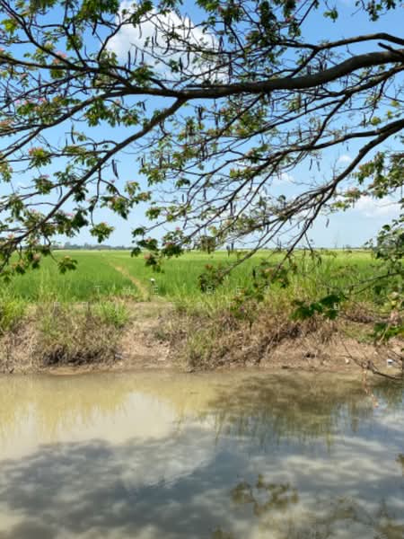 ที่ดินบางมัญ สิงห์บุรี, Sing Buri, Bang Man, Muang Sing Buri, Sing Buri, , 42,512 sqm, Land For Sale, by The Best Property เอ๋, 500222709 - DDproperty.com