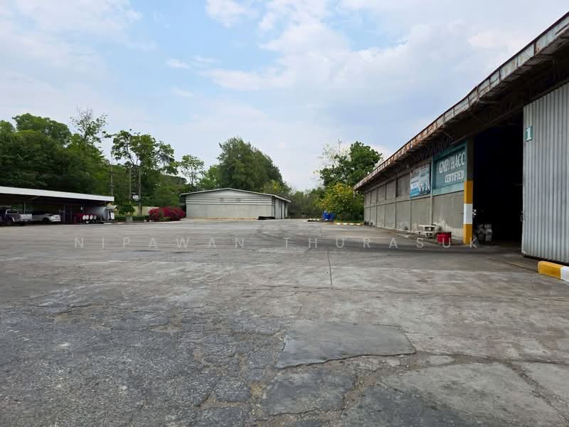 ธุรกิจ ลานมัน อ.พิมาย, Nakhon Ratchasima, Nai Muang, Phimai, Nakhon Ratchasima, , 160,000 sqm, Warehouse/Factory For Sale, by Nipawan Thurasuk, 500222715 - DDproperty.com