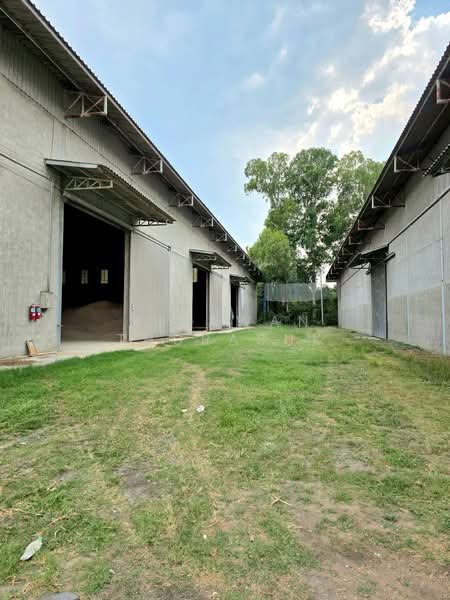 ธุรกิจ ลานมัน อ.พิมาย, Nakhon Ratchasima, Nai Muang, Phimai, Nakhon Ratchasima, , 160,000 sqm, Warehouse/Factory For Sale, by Nipawan Thurasuk, 500222715 - DDproperty.com