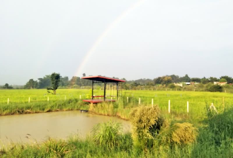 บ้านเดี่ยวพร้อมที่ดินจอมบึง ราชบุรี, ราชบุรี, รางบัว, จอมบึง, ราชบุรี, 100 ตร.ม., บ้านเดี่ยว ขาย, โดย The Best Property แท่ง, 500222724 - DDproperty.com