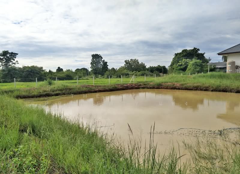 บ้านเดี่ยวพร้อมที่ดินจอมบึง ราชบุรี, Ratchaburi, Rang Bua, Chom Bung, Ratchaburi, 1 Bedroom, 100 sqm, Single Detached House For Sale, by The Best Property แท่ง, 500222724 - DDproperty.com