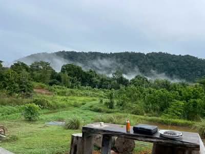 ขาย - ที่ดินตะถั่วป่า พังงา, พังงา