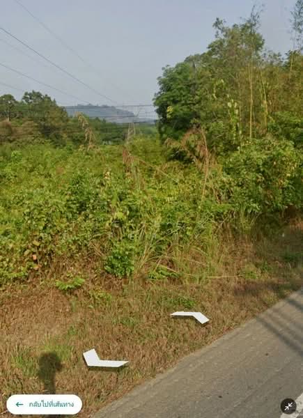 ที่ดินตะถั่วป่า พังงา, Phangnga, Khok Khian, Takua Pa, Phangnga, , 12,652 sqm, Land For Sale, by The Best Property Agent บ๊วย, 500222729 - DDproperty.com