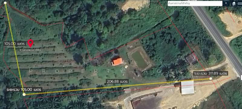 ที่ดินตะถั่วป่า พังงา, Phangnga, Khok Khian, Takua Pa, Phangnga, , 12,652 sqm, Land For Sale, by The Best Property Agent บ๊วย, 500222729 - DDproperty.com