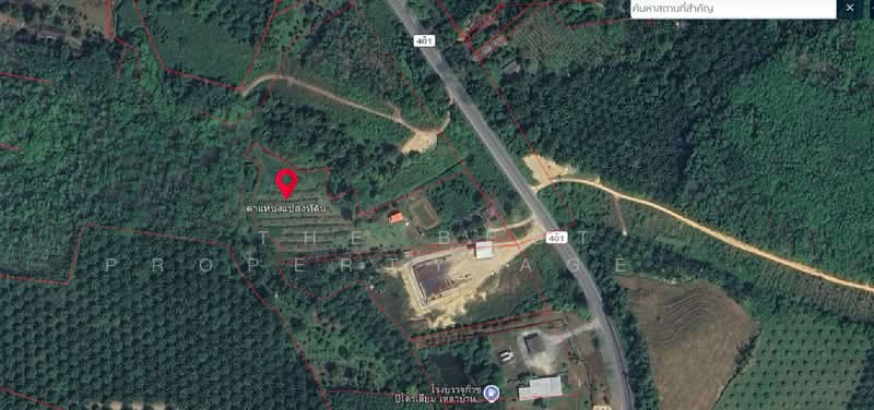 ที่ดินตะถั่วป่า พังงา, Phangnga, Khok Khian, Takua Pa, Phangnga, , 12,652 sqm, Land For Sale, by The Best Property Agent บ๊วย, 500222729 - DDproperty.com