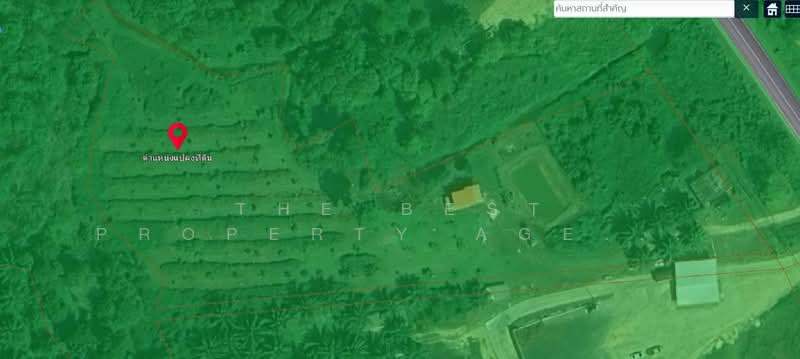ที่ดินตะถั่วป่า พังงา, Phangnga, Khok Khian, Takua Pa, Phangnga, , 12,652 sqm, Land For Sale, by The Best Property Agent บ๊วย, 500222729 - DDproperty.com
