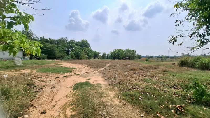 ที่ดินสีแก้ว ร้อยเอ็ด, Roi Et, Si Kaeo, Muang Roi Et, Roi Et, , 2,000 sqm, Land For Sale, by The Best Property Agent ทองใบ, 500222747 - DDproperty.com