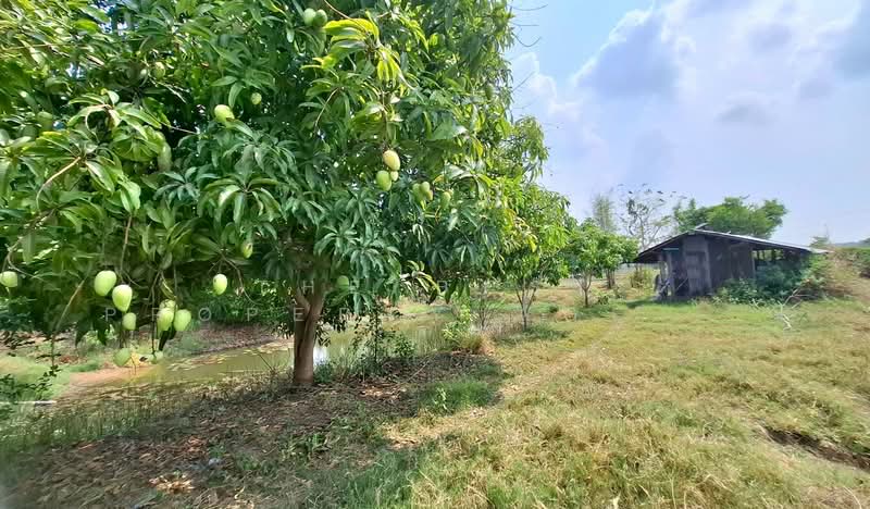 ที่ดินสีแก้ว ร้อยเอ็ด, ร้อยเอ็ด, สีแก้ว, เมืองร้อยเอ็ด, ร้อยเอ็ด, 2,000 ตร.ม., ที่ดิน ขาย, โดย The Best Property Agent ทองใบ, 500222747 - DDproperty.com