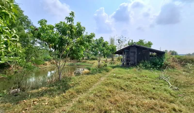 ที่ดินสีแก้ว ร้อยเอ็ด, ร้อยเอ็ด, สีแก้ว, เมืองร้อยเอ็ด, ร้อยเอ็ด, 2,000 ตร.ม., ที่ดิน ขาย, โดย The Best Property Agent ทองใบ, 500222747 - DDproperty.com