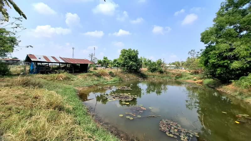 ที่ดินสีแก้ว ร้อยเอ็ด, ร้อยเอ็ด, สีแก้ว, เมืองร้อยเอ็ด, ร้อยเอ็ด, 2,000 ตร.ม., ที่ดิน ขาย, โดย The Best Property Agent ทองใบ, 500222747 - DDproperty.com