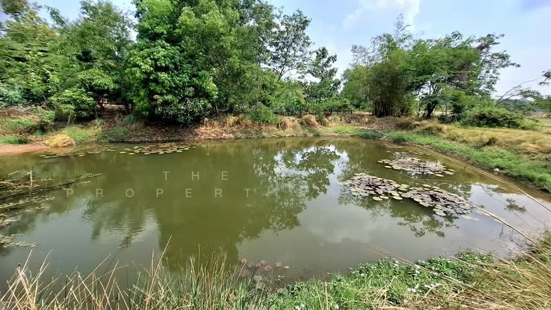 ที่ดินสีแก้ว ร้อยเอ็ด, ร้อยเอ็ด, สีแก้ว, เมืองร้อยเอ็ด, ร้อยเอ็ด, 2,000 ตร.ม., ที่ดิน ขาย, โดย The Best Property Agent ทองใบ, 500222747 - DDproperty.com