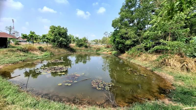 ที่ดินสีแก้ว ร้อยเอ็ด, ร้อยเอ็ด, สีแก้ว, เมืองร้อยเอ็ด, ร้อยเอ็ด, 2,000 ตร.ม., ที่ดิน ขาย, โดย The Best Property Agent ทองใบ, 500222747 - DDproperty.com