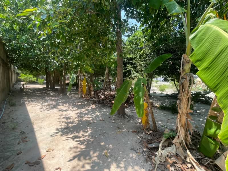 ที่ดินเนินพระ ระยอง, Rayong, Noen Phra, Muang Rayong, Rayong, , 6,400 sqm, Land For Sale, by The Best Property Agent ชมพู่, 500222760 - DDproperty.com