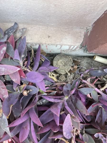 ที่ดินเนินพระ ระยอง, ระยอง, เนินพระ, เมืองระยอง, ระยอง, 6,400 ตร.ม., ที่ดิน ขาย, โดย The Best Property Agent ชมพู่, 500222760 - DDproperty.com