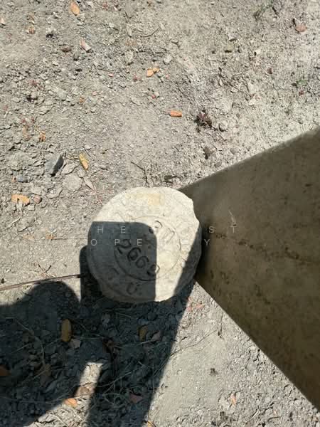 ที่ดินเนินพระ ระยอง, ระยอง, เนินพระ, เมืองระยอง, ระยอง, 6,400 ตร.ม., ที่ดิน ขาย, โดย The Best Property Agent ชมพู่, 500222760 - DDproperty.com