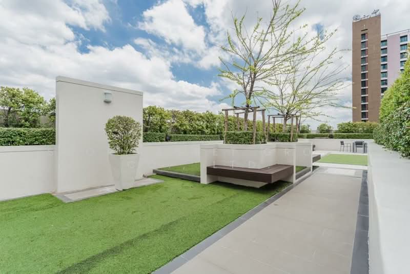 Maestro 12 Ratchathewi, Bangkok, 368 Phetchaburi Road, Thung Phaya Thai, Ratchathewi, Bangkok, 1 Bedroom, 28 sqm, Condo For Rent, by Shori Asset Group Co., Ltd., 500222782 - DDproperty.com