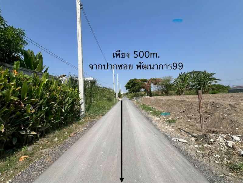 ที่ดินถมแล้วแปลงสวย 380 ตรว.ซอยพัฒนาการ 99 อ่อนนุช 70/1, กรุงเทพ, ประเวศ, ประเวศ, กรุงเทพ, 1,520 ตร.ม., ที่ดิน ขาย, โดย Panthawan Keeratithavornanan, 500222806 - DDproperty.com