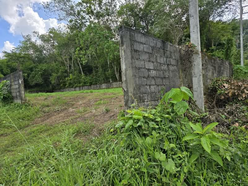 Koh Kaew,Phuket 5-3-37.2, Phuket, Ko Kaeo, Muang Phuket, Phuket, , 9,348 sqm, Land For Sale, by Kritsada Darakrittaya, 500222813 - DDproperty.com