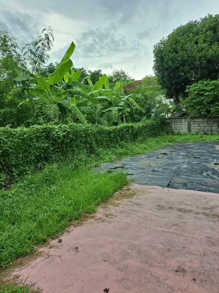 ที่ดินบางกะปิ กรุงเทพมหานคร, Bangkok, Khlong Chan, Bang Kapi, Bangkok, , 420 sqm, Land For Sale, by The Best Property จอย, 500222820 - DDproperty.com