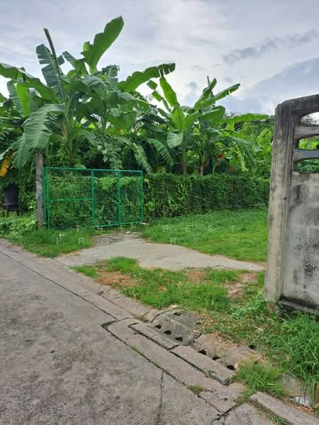 ที่ดินบางกะปิ กรุงเทพมหานคร, กรุงเทพ, คลองจั่น, บางกะปิ, กรุงเทพ, 420 ตร.ม., ที่ดิน ขาย, โดย The Best Property จอย, 500222820 - DDproperty.com