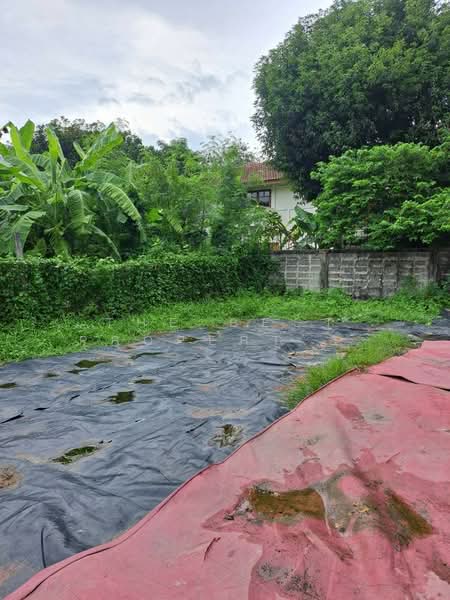 ที่ดินบางกะปิ กรุงเทพมหานคร, Bangkok, Khlong Chan, Bang Kapi, Bangkok, , 420 sqm, Land For Sale, by The Best Property จอย, 500222820 - DDproperty.com