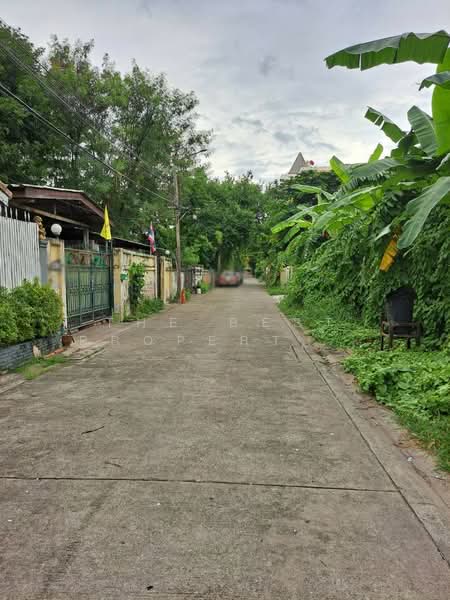ที่ดินบางกะปิ กรุงเทพมหานคร, Bangkok, Khlong Chan, Bang Kapi, Bangkok, , 420 sqm, Land For Sale, by The Best Property จอย, 500222820 - DDproperty.com