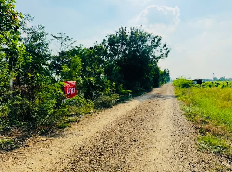 For Sale - ที่ดินคลองหลวง ปทุมธานี, Pathum Thani