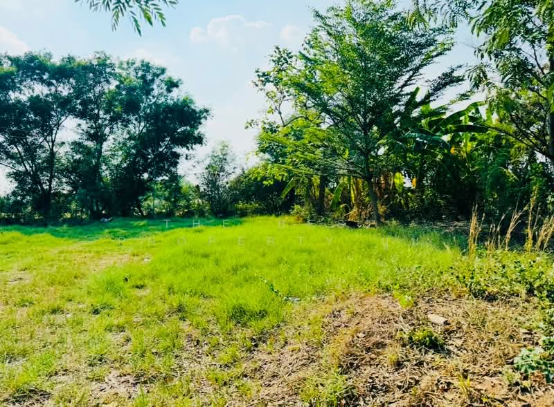 For Sale - ที่ดินคลองหลวง ปทุมธานี, Pathum Thani