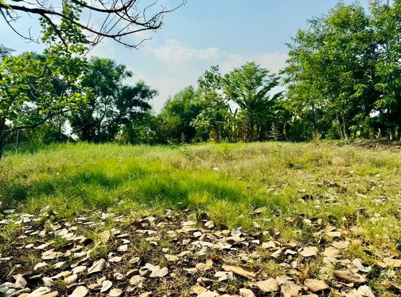 For Sale - ที่ดินคลองหลวง ปทุมธานี, Pathum Thani