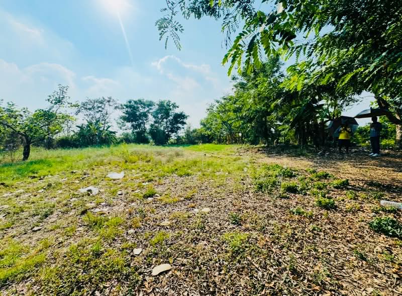 ขาย - ที่ดินคลองหลวง ปทุมธานี, ปทุมธานี