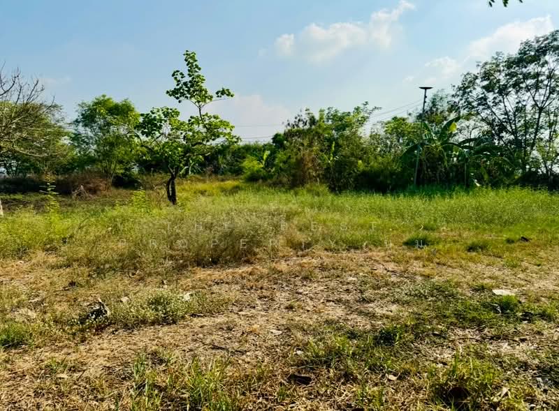 For Sale - ที่ดินคลองหลวง ปทุมธานี, Pathum Thani