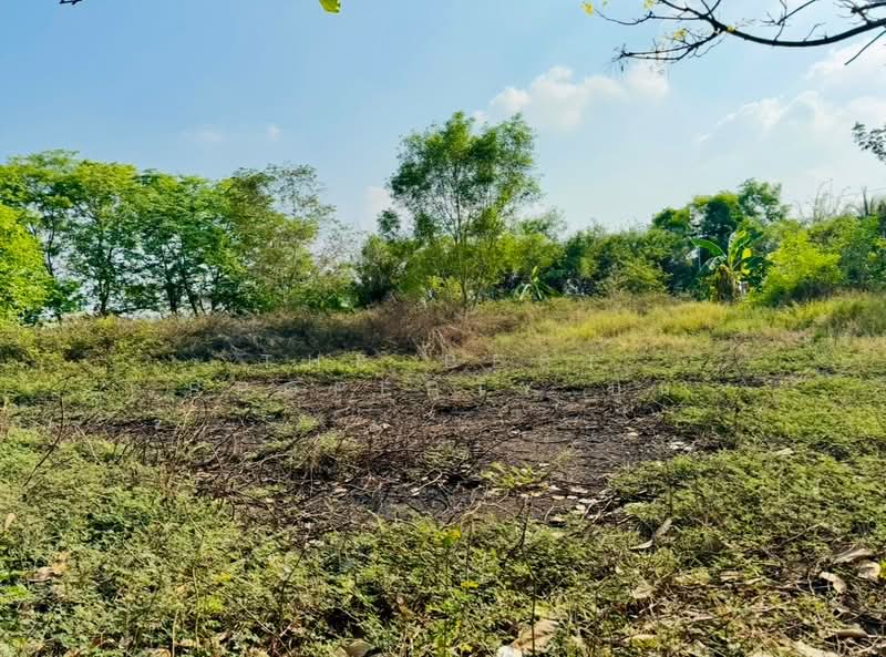 For Sale - ที่ดินคลองหลวง ปทุมธานี, Pathum Thani