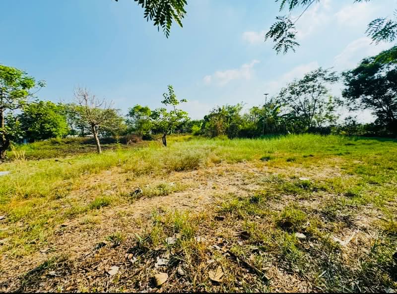 For Sale - ที่ดินคลองหลวง ปทุมธานี, Pathum Thani