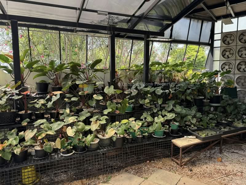 ขายบ้านเดี่ยวหลังใหญ่ หลังมุม โครงการใหม่ ม.ริมเขาบางพระ ศรีราชา, Chon Buri (Pattaya), Bang Phra, Si Racha, Chon Buri (Pattaya), 3 Bedrooms, 220 sqm, Single Detached House For Sale, by Dusit Saengfa, 500222836 - DDproperty.com