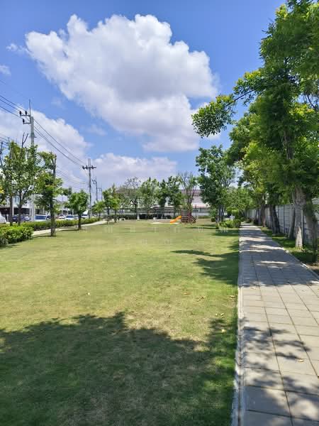 Baan Pruksa Sukhumvit-Bangpu 2 : บ้านพฤกษา สุขุมวิท-บางปู 2, สมุทรปราการ, บางปูใหม่, เมืองสมุทรปราการ, สมุทรปราการ, 110 ตร.ม., ทาวน์เฮ้าส์ ขาย, โดย ธัณยาภัทณ์ (ธัณญ่า), 500222849 - DDproperty.com