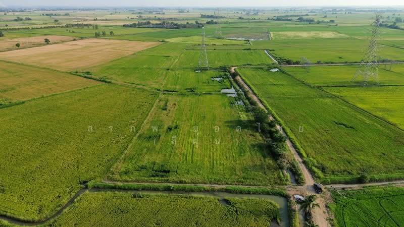 ขาย - ที่นา 8-2-29 ไร่ ใกล้สถานีรถไฟบ้านกลับ ตำบลดอนโพธิ์ อำเภอเมือง จังหวัดลพบุรี, ลพบุรี