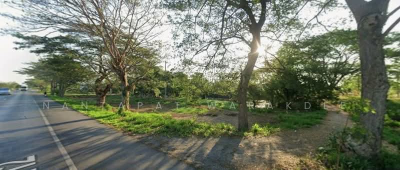 ที่ดินติดถนนเพชรเกษม จ.ประจวบคีรีขันธ์, Prachuap Khiri Khan, Bo Nok, Muang Prachaubkirikhan, Prachuap Khiri Khan, , 26,324 sqm, Land For Sale, by Nantapat Warakdee, 500222924 - DDproperty.com