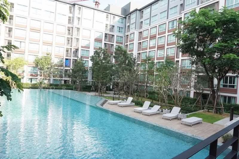 For Rent - Dcondo Ping, Chiang Mai