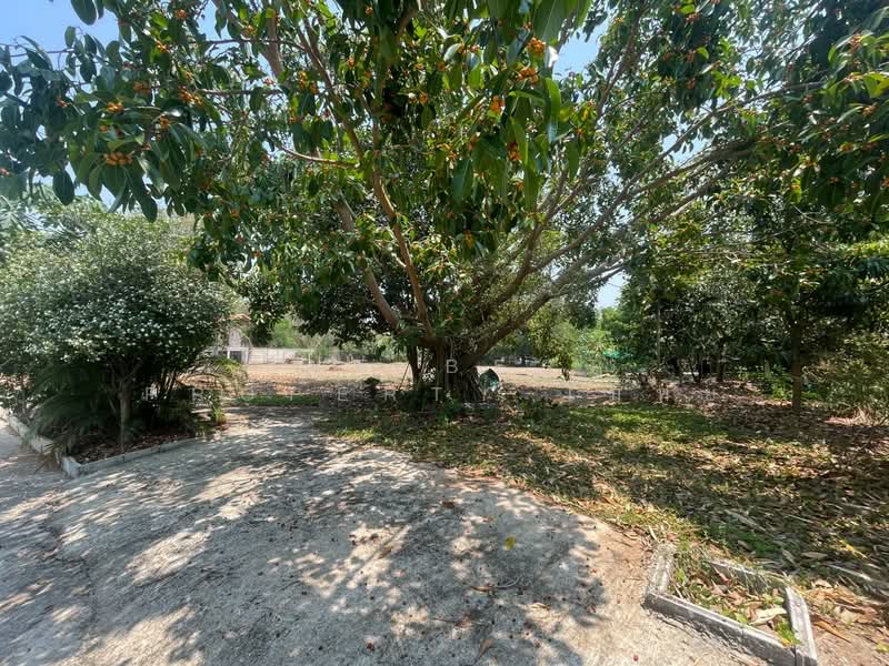 For Sale - บ้านเดี่ยวพร้อมที่ดินอุบลรัตน์ ขอนแก่น, Khon Kaen