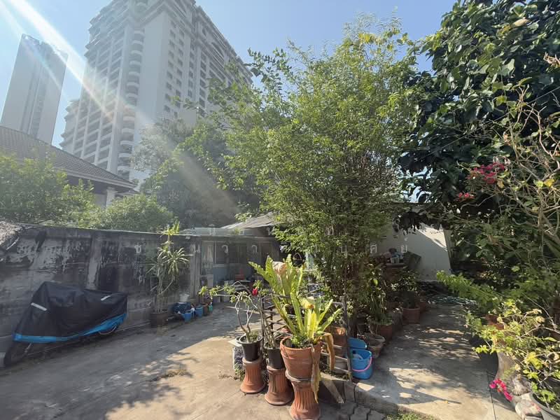 บ้านเลขที่ 5/1 ซอยพร้อมมิตร สุขุมวิท 39 แขวงคลองตัน เขตคลองเตย กทม., กรุงเทพ, พร้อมมิตร, คลองตัน, คลองเตย, กรุงเทพ, 200 ตร.ม., บ้านเดี่ยว ขาย, โดย นิธินันท์ ชานวาทิกบุศย์, 500223028 - DDproperty.com