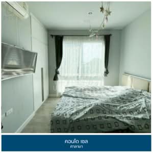 ขาย - Zelle Salaya : เซล ศาลายา, นครปฐม